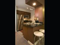 $1,745 / Month Apartment For Rent: 210 N Wells St Unit #1711 Chicago, IL 60606