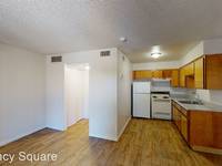 $839 / Month Apartment For Rent: 2350 S Avenue B Unit 918 - Regency Square Apart...
