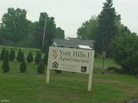 $875 / Month Apartment For Rent: 3 Bedroom Unit - York Hills I Apartments | ID: ...