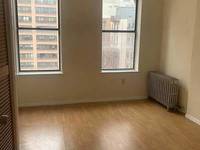 $3,000 / Month Apartment For Rent: 309 West 111th Street New York NY 10026 Unit: 1...