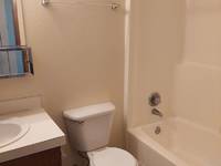 $1,195 / Month Apartment For Rent: 924 21st Street - 8 - Omni Property Management ...